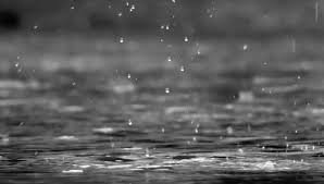 Image result for dadaji rain with umbrella